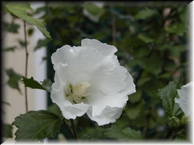 P8270245